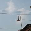 haddeskly2