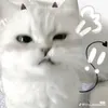 tu.l.th.n