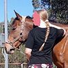 love_country_life