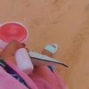 zehra.tourad