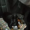 jrexcar