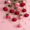 bno_ky4