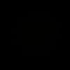 bv_ty0