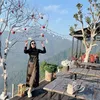 phuongdoxinh1