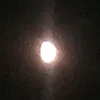 kocoid00001