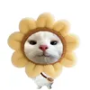 _bevycutiis1tg_