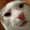 el_bergalarga392