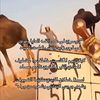 doosr_502_0