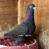 faw_zakho1