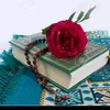 sarwar3934