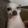 watchudoinbae0