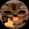 thkngu12