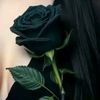 mayerling.leal2