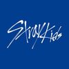 jypstraykids4