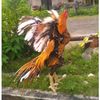 bachtiar.shidiq