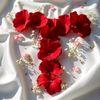 prince_shafayat143