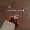 jawed.ali218
