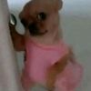 ilay_00001