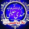 syedanees182