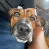 jeff_1712