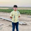 r.a_ali1