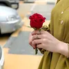 dil___d