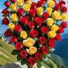 florenceflo490