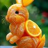 socialbutterfly123445