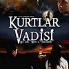 kurtlar_vadi0