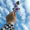 asenatsharifi850