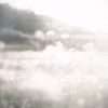 tokito_2415