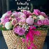 uaeuae7505