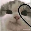 anita.alonso11