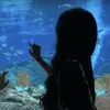jannatryad2