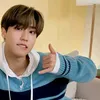 _lollazx