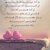 user4929183348823370