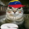 daza...77_