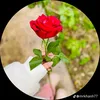 user7002773854128