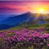 sama_tare_24