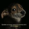 user.0192837465m