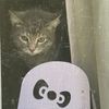 0_0eatmeowt