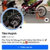 tamhuynh988