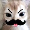 apple_banana2814