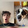 thefourthrobertiv
