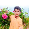 talha.khan4621