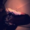 mylaa_xzq