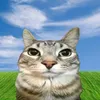 kyfvix3