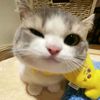 aisyah85213