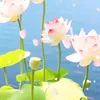 nguyn.tuyn0465