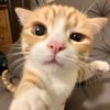 m_faisal0716